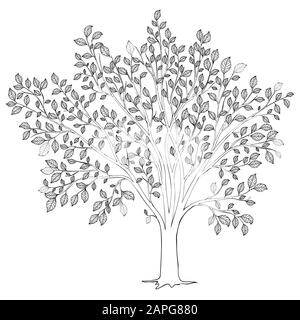 Albero con vettore silhouette foglie. Pagina del libro da colorare per adulti Illustrazione Vettoriale