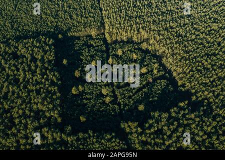 Foto drone della foresta di Grunheide, Berlino-Brandeburgo, fabbrica Tesla Giga Foto Stock