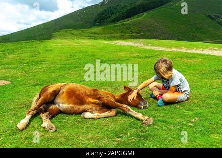 interazione umana animale, adolescenza carezzante il nemico sdraiato Foto Stock