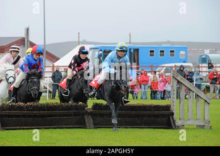 Evento Shetland Grand National che si tiene allo spettacolo Shetland Pony & Breeders 2019 a Lerwick Shetland Foto Stock