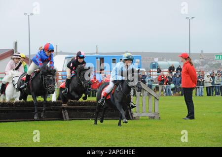 Evento Shetland Grand National che si tiene allo spettacolo Shetland Pony & Breeders 2019 a Lerwick Shetland Foto Stock