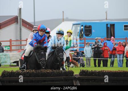 Evento Shetland Grand National che si tiene allo spettacolo Shetland Pony & Breeders 2019 a Lerwick Shetland Foto Stock