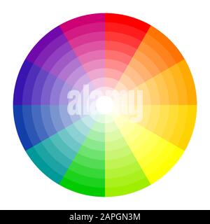 Cerchio di colori 12 colori Illustrazione Vettoriale