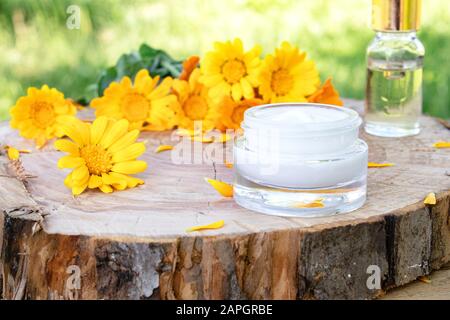 Crema nutriente con estratto di calendula con fiori di calendula freschi su sfondo ligneo in natura. Dermatologia Medica. Foto Stock