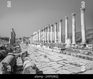 Giordania. Colonnati in pietra liberi in monocromia sulla via principale dell'antica città romana di Jerash, non lontano dalla capitale della Giordania di Amman in Medio Oriente Foto Stock