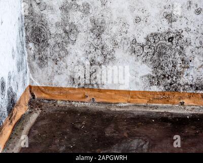 Macchie di stampo nero sulla parete Foto Stock