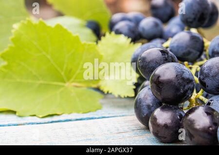 Uve blu e foglie verdi su vecchie tavole blu. Un grappolo di uva su un tavolo di legno. Primo piano Foto Stock