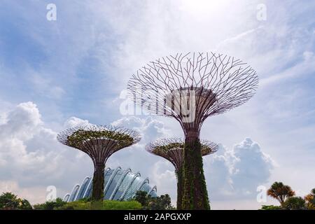 Giardini vicino alla baia, Singapur Foto Stock