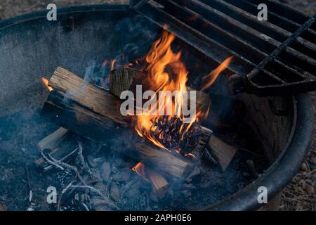 Tipico caminetto e grill in un campeggio del California state Park realizzato in metallo, con fuoco e alcuni tronchi, primo piano Foto Stock