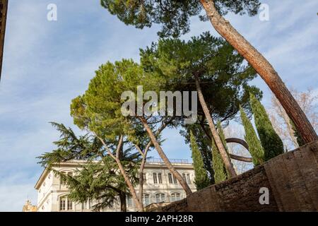 Ombrello pini sullo skyline e Villa Farnesina sullo sfondo Foto Stock