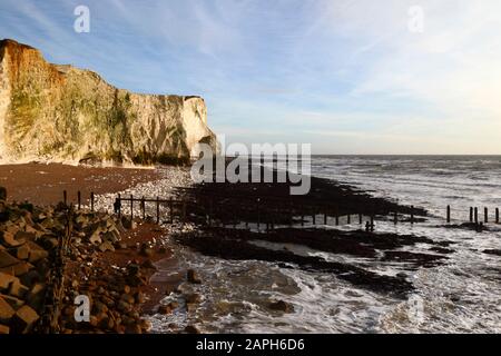 Vista lungo le scogliere di gesso a Seaford Head, Seaford, East Sussex, Inghilterra Foto Stock