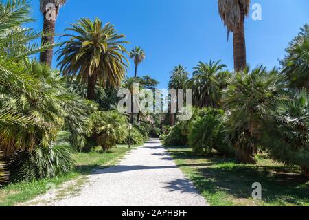 Percorso circondato da palme e piante tropicali in un giardino botanico nel quartiere di Trastevere a Roma, Italia. Foto Stock