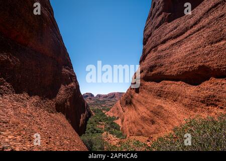 Paesaggio Dell'Outback, Australia Centrale, Territorio Del Nord Foto Stock