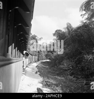 Viaggiare a Suriname e Antille Olandesi Descrizione: Il treno goldfield sul treno Paramaribo tracee - Stazione via cavo Data: 1947 posizione: Suriname Parole Chiave: Treni Foto Stock