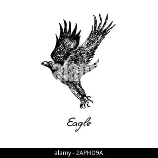 Vista laterale Eagle flying, con iscrizione, doodle disegnato a mano, schizzo in stile vintage, illustrazione Foto Stock