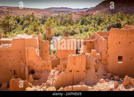 Antiche rovine di kasbah e palme in Tinghir Marocco Foto Stock