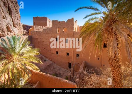 Case di mattoni di fango e palme Tinghir, Marocco Foto Stock