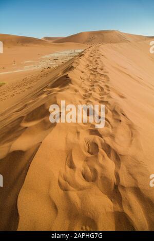 Paesaggio di Deadvlei da una duna con impronte di piedi nella sabbia a Sossusvlei, Namibia (alla fine) Foto Stock