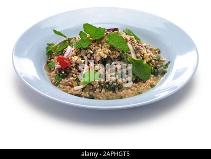 Larb è un tipo di insalata di carne del Lao. Foto Stock