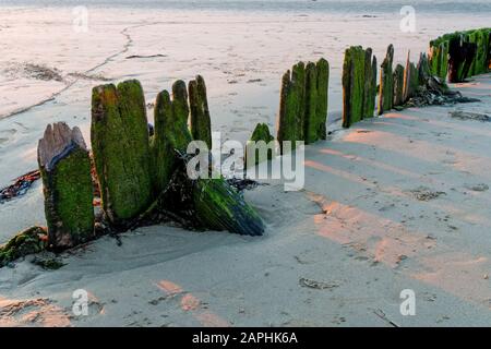 decadente onda di legno break su una spiaggia di sabbia Foto Stock