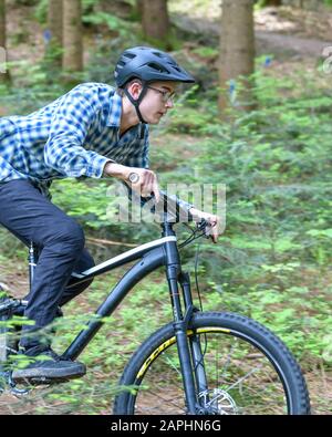 Mountainbike rider fare una discesa coraggiosa su sentiero forestale Foto Stock