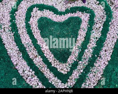 Vista dall'alto delle pietre bianche a forma di cuore sull'erba per il design del paesaggio. Sfondo per San Valentino o romantico sfondo per matrimonio cartolina o. Foto Stock