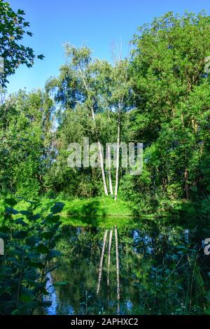 Impressioni dalla regione di Augsburg con il suo sistema di fiumi, canali e strutture di gestione idrica ampiamente collegati Foto Stock