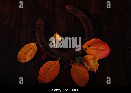 Closeup shot di un unico arrugginito ferro di cavallo e foglie di colore autunno e frutti di bosco rossi. Vista ad angolo elevato. Tasto basso foto orizzontale. Scarpa da cavallo sdraiata su dar Foto Stock