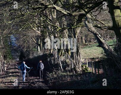 Ceiriog Viadotto, Denbighshire, Galles Foto Stock
