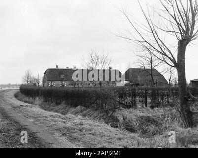 Farm De Olde Weije in Vaassen Annotazione: Fattoria di prova per la coltivazione e fertilizzazione. Costruito nel 1962 per conto dell'industria Olandese Dell'Azoto Data: 1962 posizione: Gelderland, Vaassen Parole Chiave: Fattorie, edifici Foto Stock