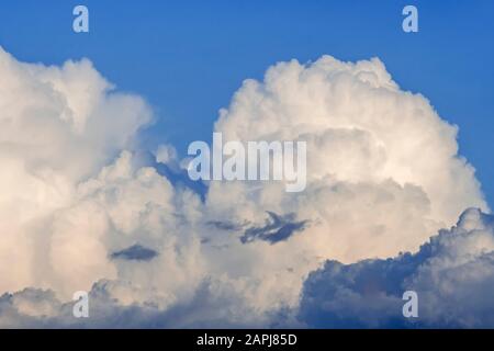Sviluppo Cumulus congestus nube anche conosciuto come torreggiante cumulus nubi Foto Stock