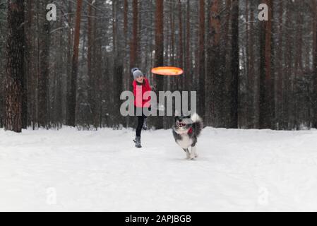 giovane donna gioca frisbee con un cane in una foresta invernale durante una nevicata Foto Stock