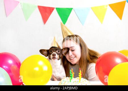 Carino piccolo cane divertente con una torta di compleanno e un cappello festa che celebra il compleanno con ragazza amante. Bella giovane donna e un cane in tappi di vacanza. Buon compleanno festa. Concetto di amicizia.. Foto Stock