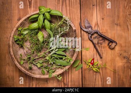 mazzo fresco di erbe aromatiche sulla tavola ruvida in legno Foto Stock