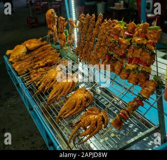 Polpo alla griglia e spiedini di carne fornitore di strada Hoi An Vietnam al mercato notturno. Scusi il kebab su una rastrelliera per il carrello degli alimenti. Foto Stock