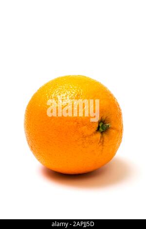Arancione Navale isolato su sfondo bianco con spazio di copia. Foto Stock