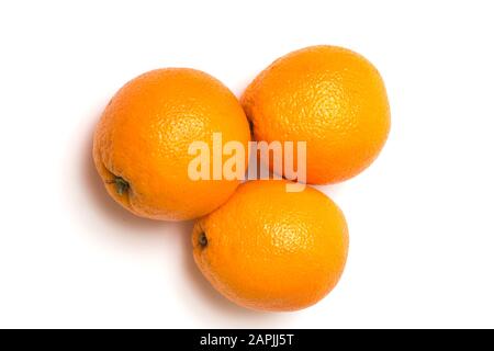 Intera disposizione arancione isolata su sfondo bianco, fotografata direttamente dall'alto. Foto Stock