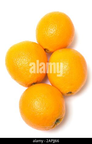 Intera disposizione arancione isolata su sfondo bianco, fotografata direttamente dall'alto. Foto Stock