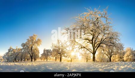 Paesaggio rurale incantato dalla neve e il sole d'oro invernale che si innalza sul cielo blu Foto Stock