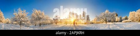 Paesaggio rurale incantato dalla neve e dal sole d'oro invernale che sorge, un panorama molto ampio con cielo blu Foto Stock