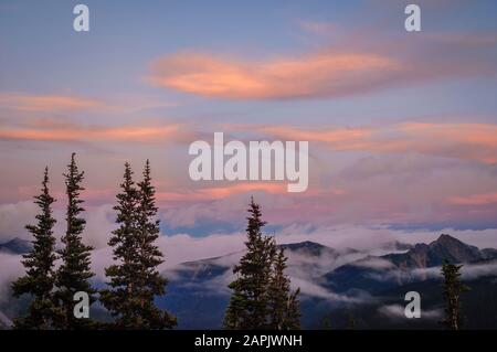 Vista dal ghiacciaio si affacciano nel distretto di sunrise di Mount Rainier National Park, Washington. Foto Stock