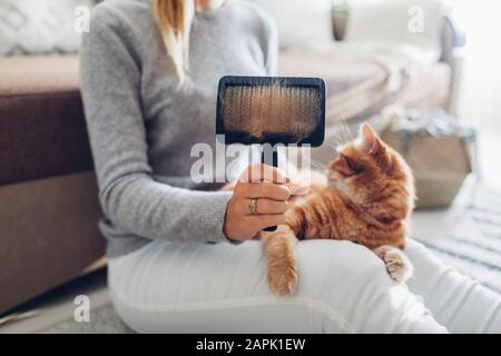 La pettinatura ginger cat con spazzola a pettine a casa. Donna proprietario avendo cura di Pet per rimuovere i peli. Foto Stock