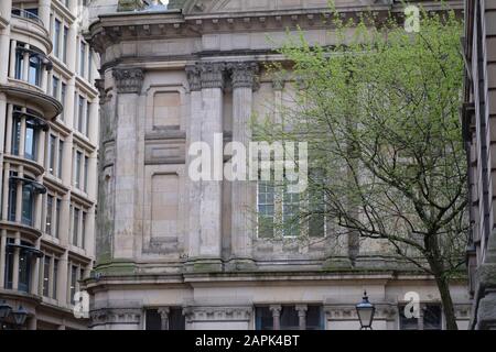 Albero con foglie verdi giovani sullo sfondo di un bel vecchio edificio Foto Stock