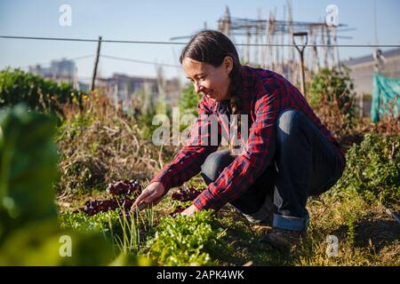Giovane donna che fa giardinaggio urbano il giorno di sole in primavera Foto Stock