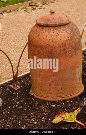 Un'immagine di una terracotta, rabarbaro che costringe pentola con un coperchio per incoraggiare un raccolto di rabarbaro precoce Foto Stock