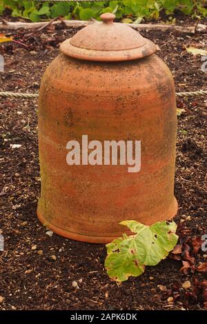 Un'immagine di una terracotta, rabarbaro che costringe pentola con un coperchio per incoraggiare un raccolto di rabarbaro precoce Foto Stock