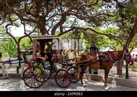 Malta Valletta 16 giugno 2019: Un modo di trasporto tradizionale maltese al parco. Un'attrazione popolare per i turisti sullo sfondo del grande tr verde Foto Stock