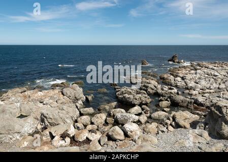 Colonia di foche a Ohau Point, Nuova Zelanda. Foto Stock