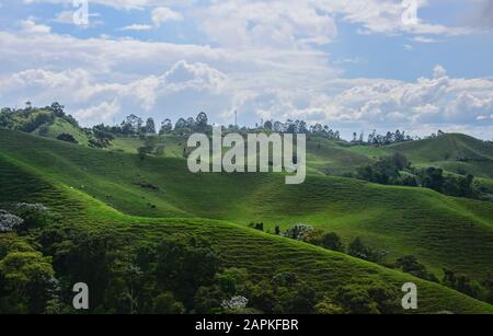 Lussureggiante paesaggio verde in la Caretera "caffè zona' Filandia, Colombia Foto Stock