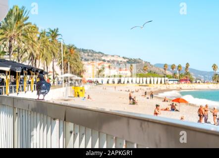 Un piccione cammina lungo una ringhiera di un caffè marciapiede come un teschio vola su una spiaggia piena di turisti a Menton, Francia. Foto Stock